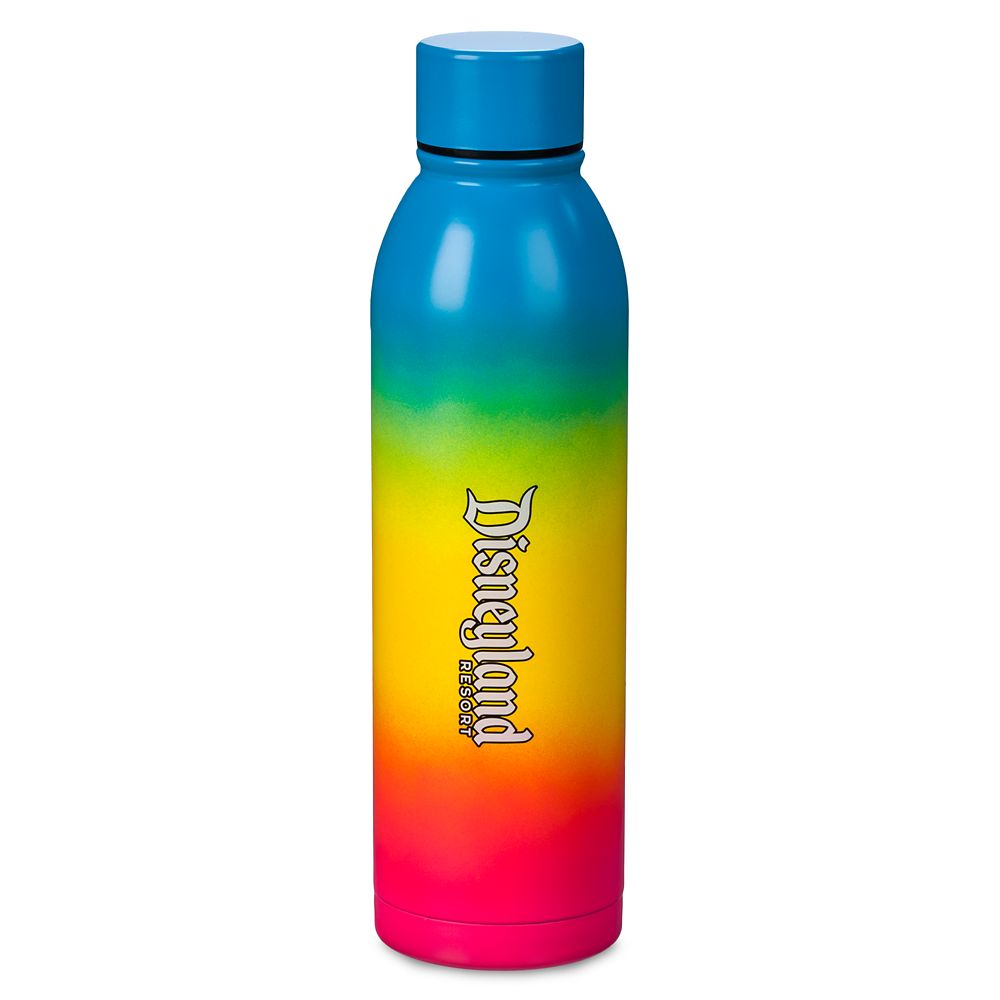 Disneyland 2024 Stainless Steel Water Bottle