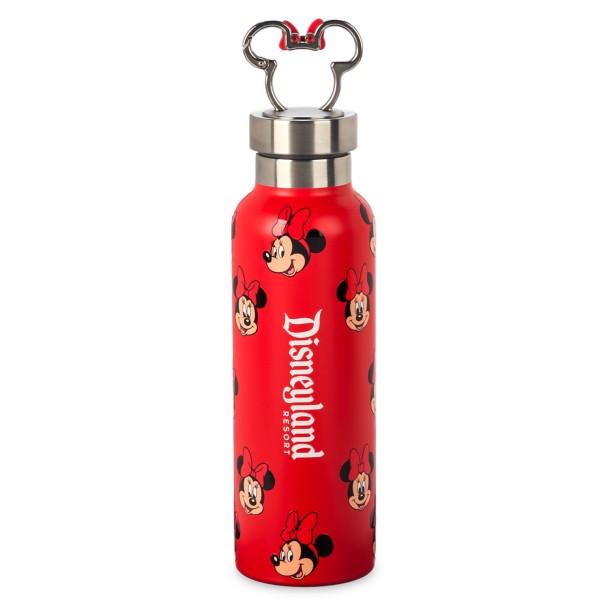 Minnie Mouse Stainless Steel Water Bottle – Disneyland