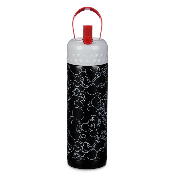 Disney Encanto Stainless Steel Water Bottle with Built-In Straw