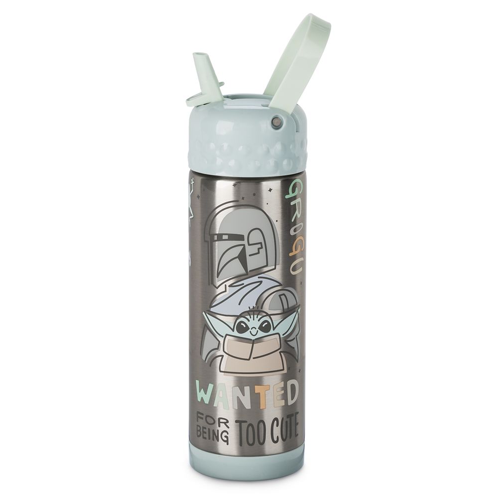 Star Wars: The Mandalorian Stainless Steel Water Bottle with Built-In Straw now available
