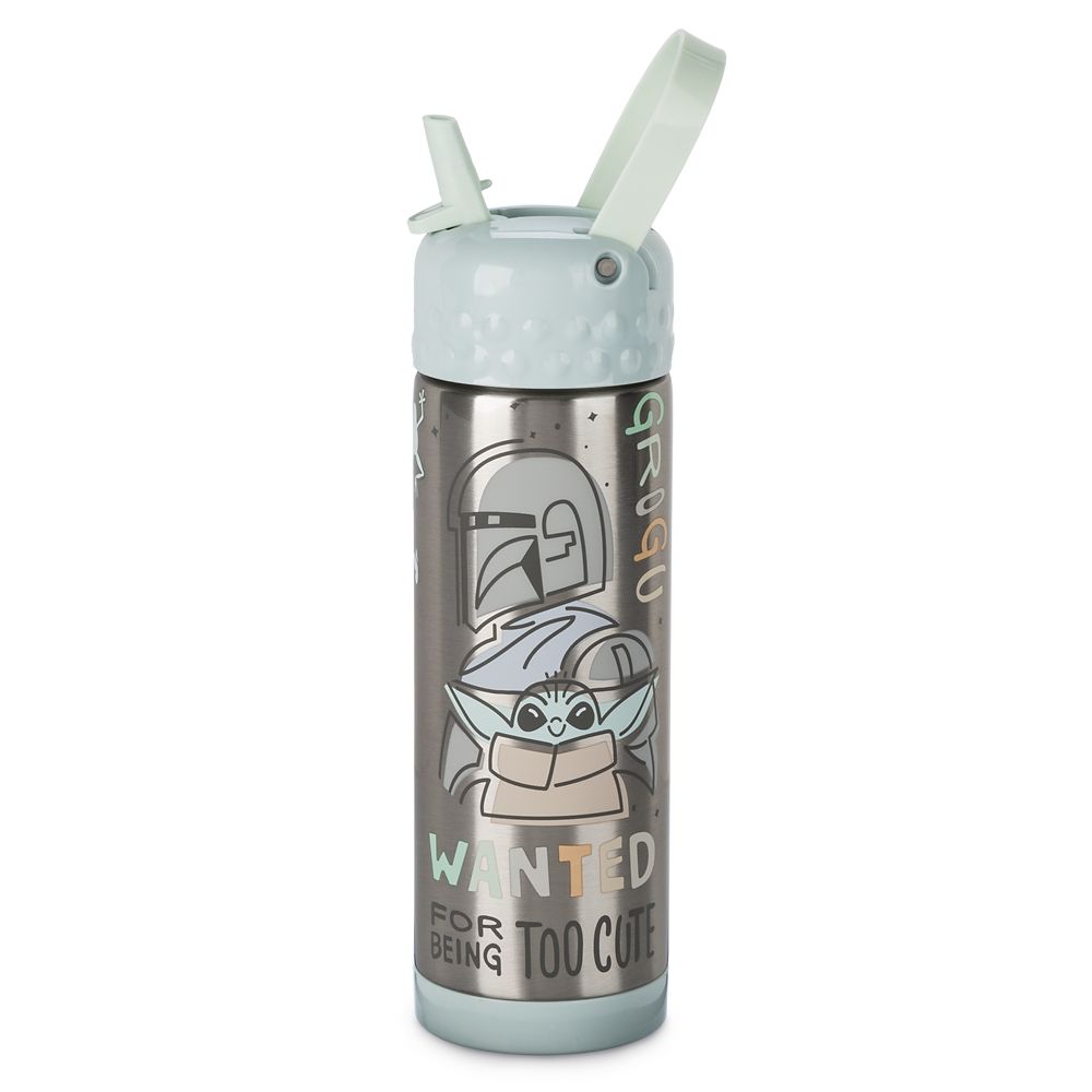 Star Wars: The Mandalorian Stainless Steel Water Bottle with Built-In Straw Official shopDisney