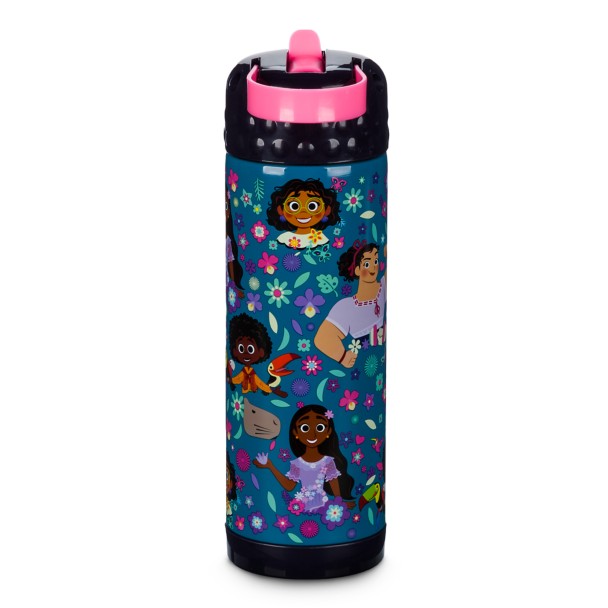 Disney Princess Stainless Steel Water Bottle with Built-In Straw