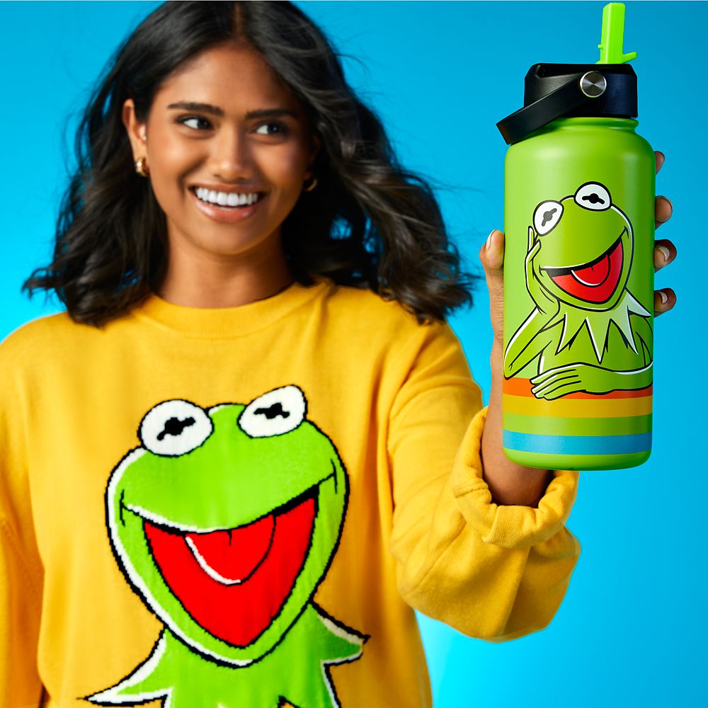 Kermit the Frog Stainless Steel Water Bottle with Built-In Straw – The Muppets