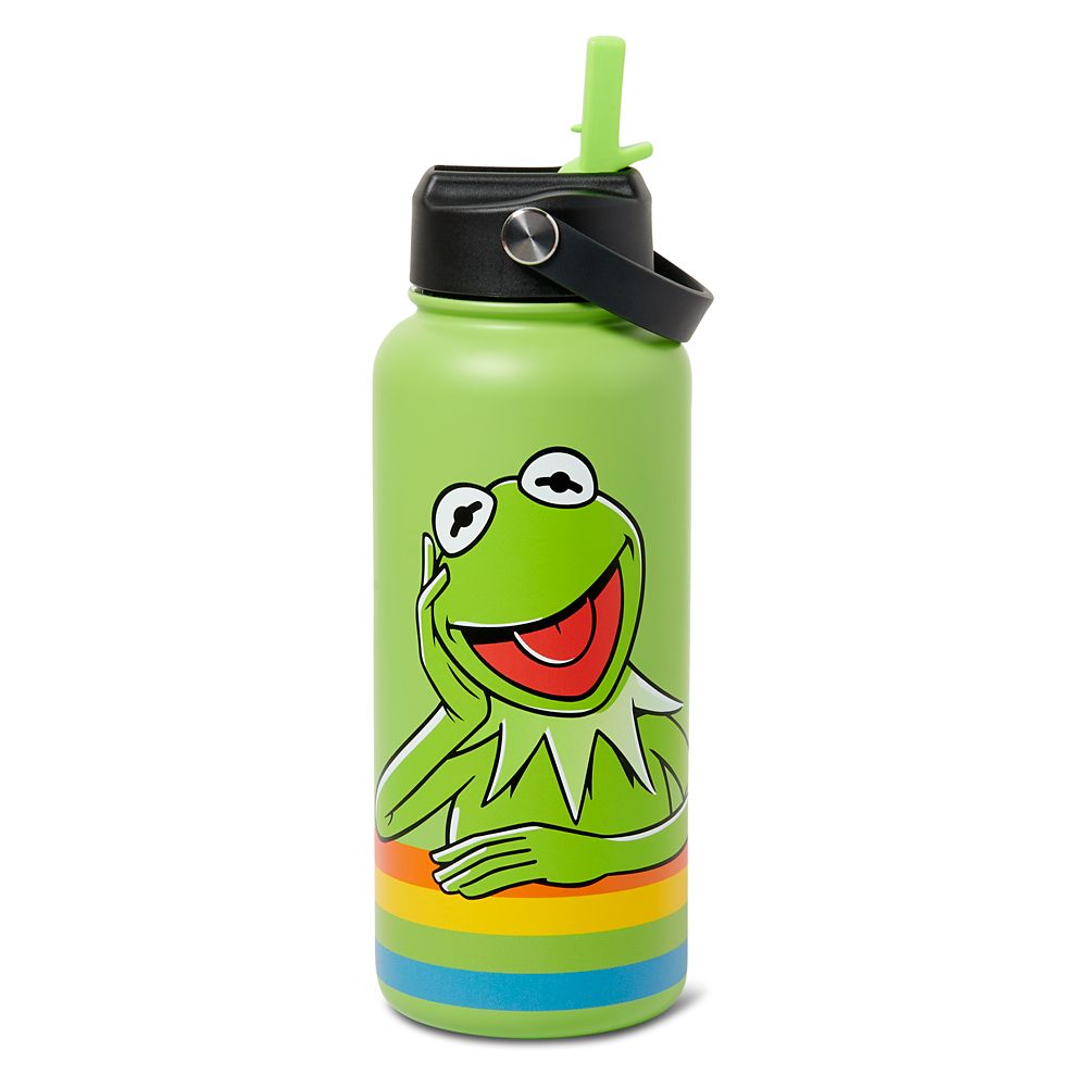 Kermit the Frog Stainless Steel Water Bottle with Built-In Straw – The Muppets