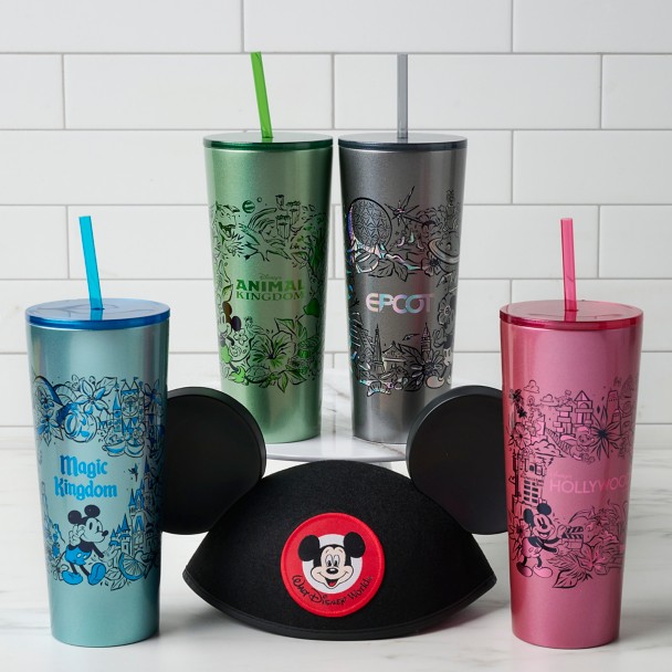 Disney Starbucks Magic Kingdom Icons Metal Tumbler Cup with Straw New – I  Love Characters
