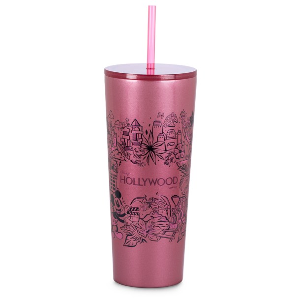 Disney Disneyland Stainless Steel Tumbler with Straw No Color