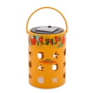 Orange Bird Solar Lantern – EPCOT International Flower & Garden Festival 2024