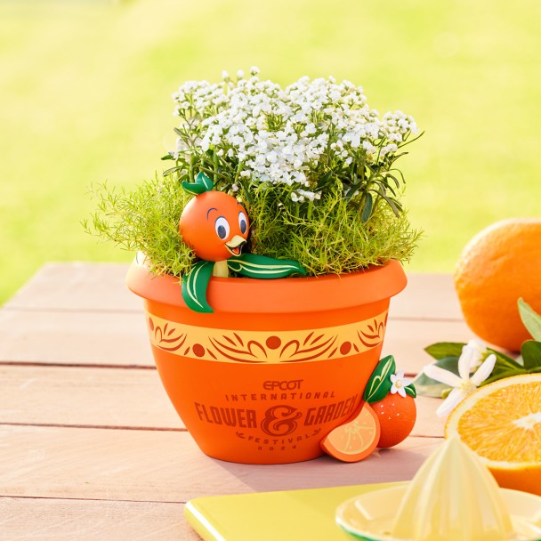 Orange Bird Planter Pot – EPCOT International Flower & Garden Festival 2024