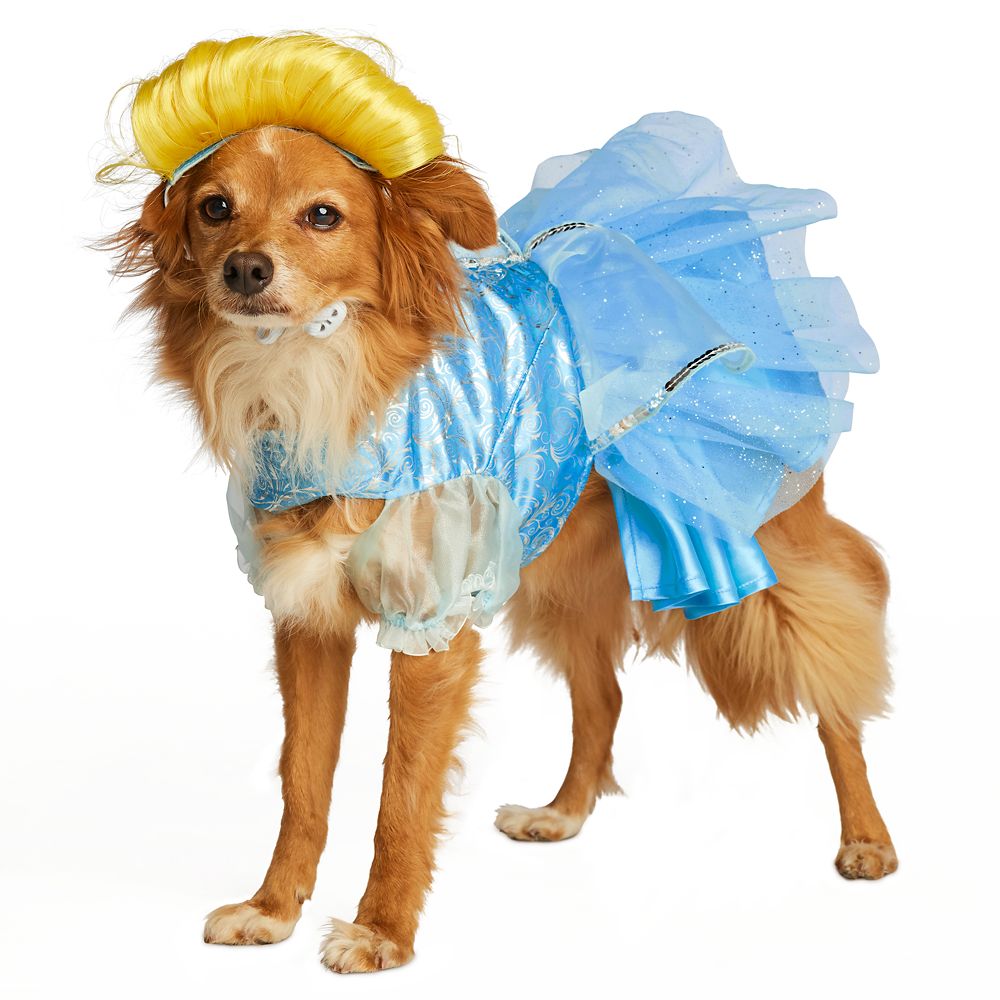 Cinderella Pet Costume – Get It Here