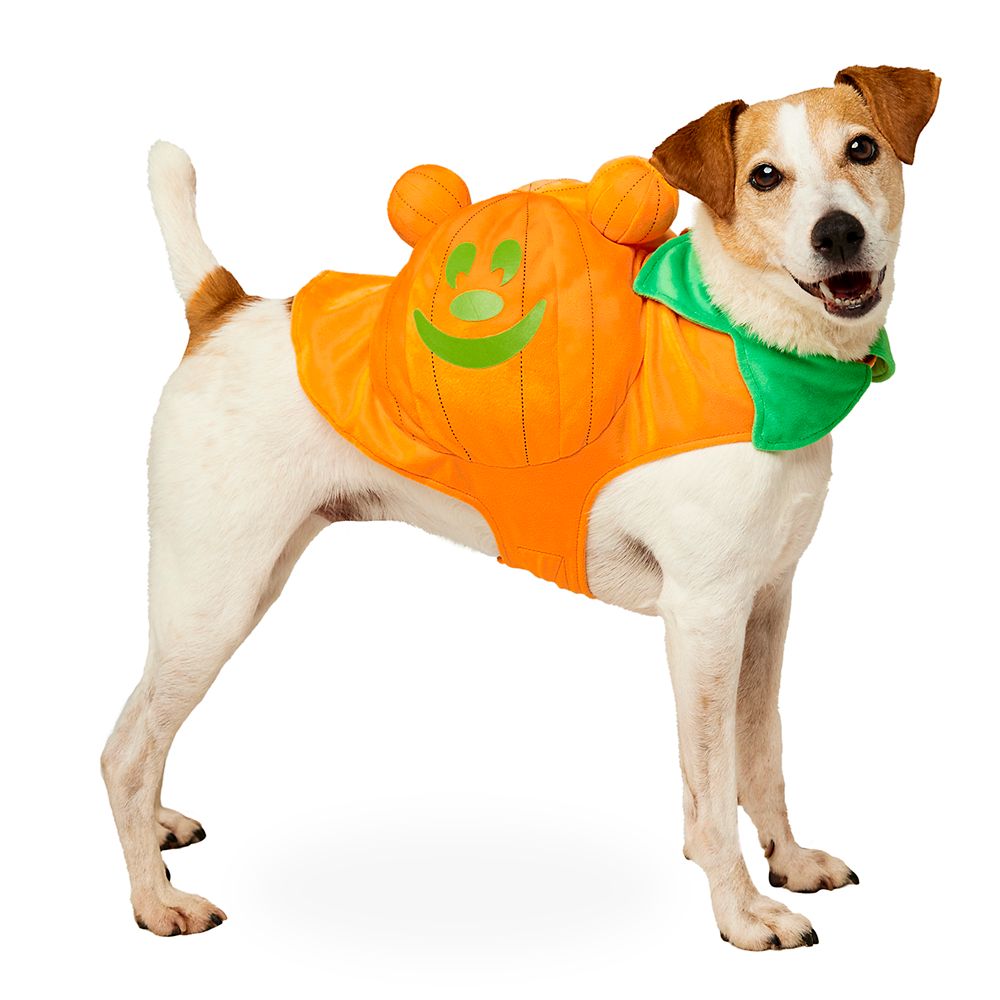 Mickey Mouse Jack-o-Lantern Glow-in-the-Dark Costume for Pets Official shopDisney