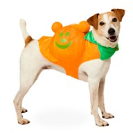 Mickey Mouse Jack-o'-Lantern Glow-in-the-Dark Costume for Pets