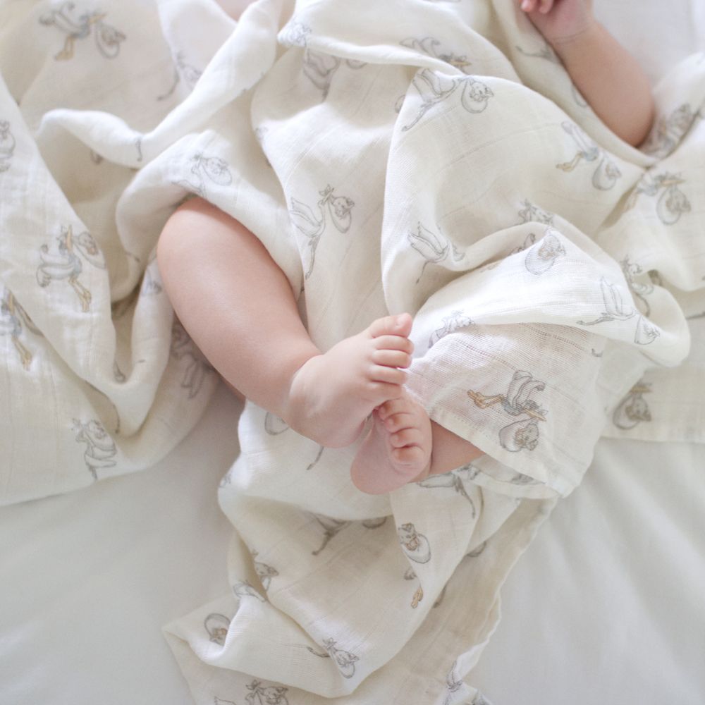 Dumbo Swaddle Set for Baby by aden + anais®