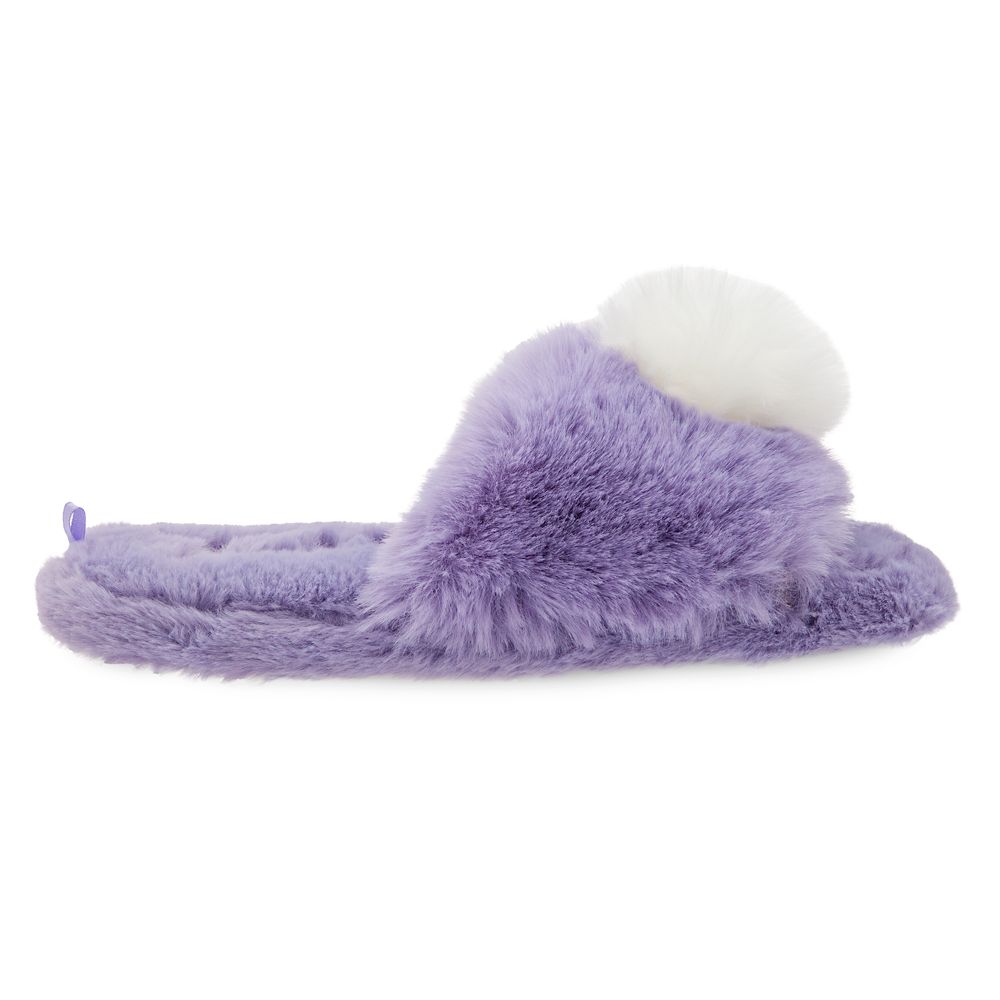 Tinker Bell Slippers for Adults – Peter Pan