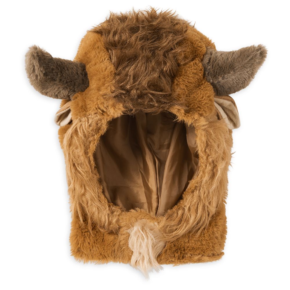 Beast Costume for Kids &ndash; Beauty and the Beast