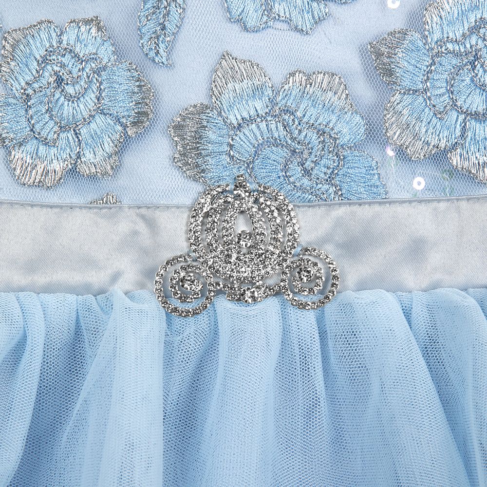 Cinderella Party Dress for Girls