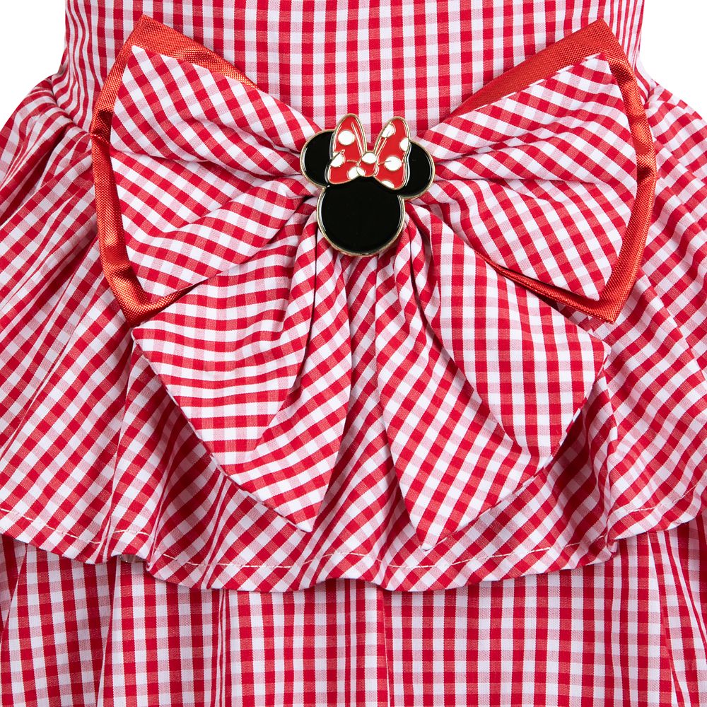 Minnie Mouse Gingham Dress for Girls
