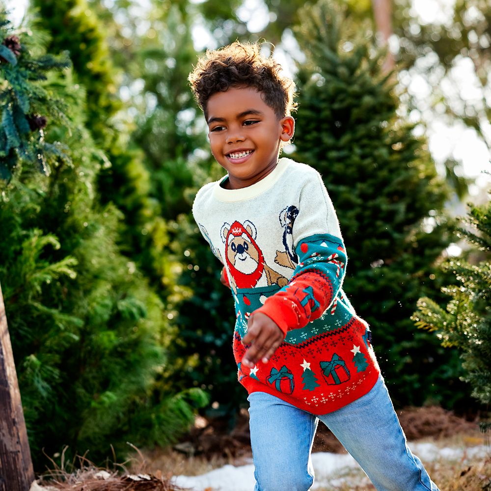 Ewok Christmas Sweater for Kids by Spirit Jersey – Star Wars