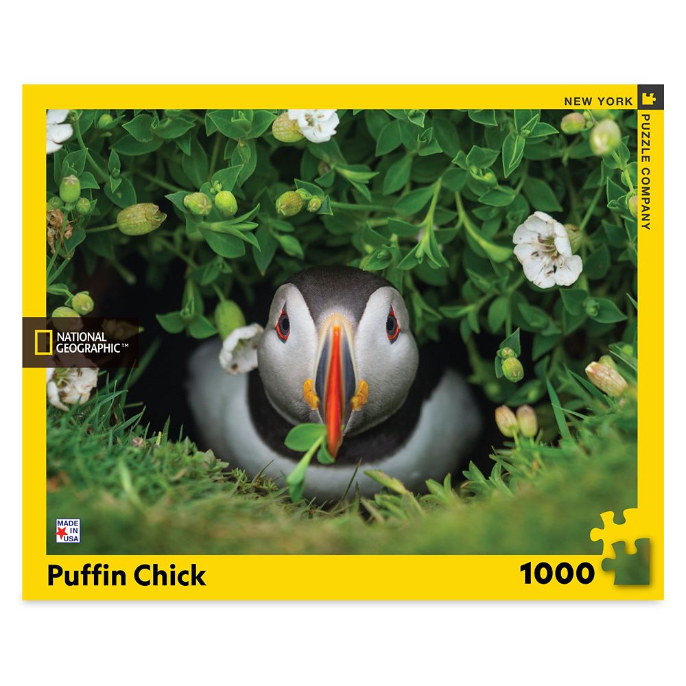 Puffin Chick Puzzle – National Geographic