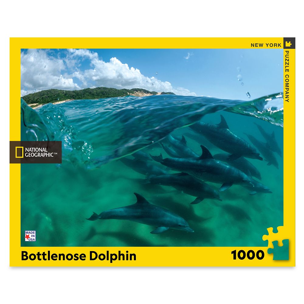 Bottlenose Dolphin Puzzle – National Geographic