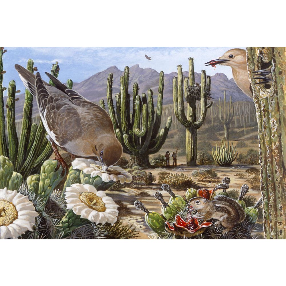 Desert Ecosystem Puzzle – National Geographic available online for ...