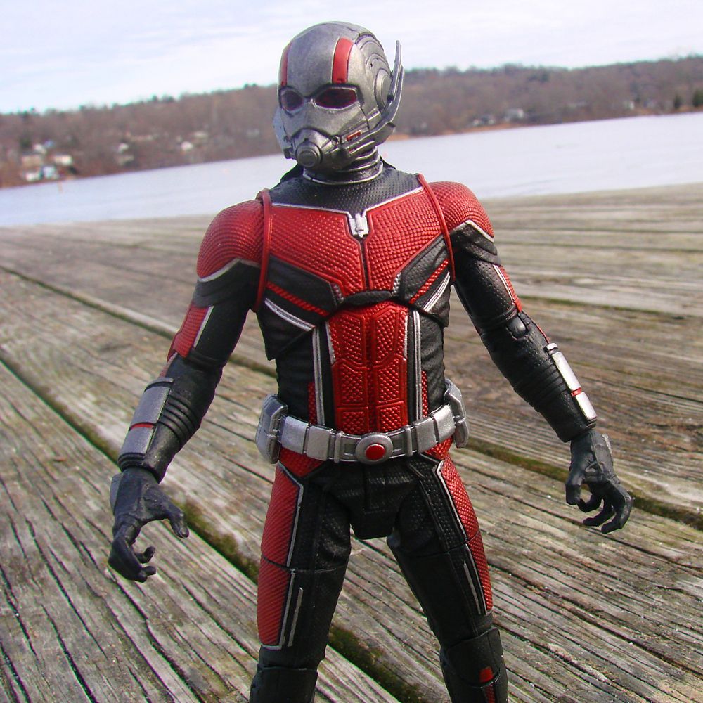 Ant-Man Collector Edition Action Figure - 6101047452876 2