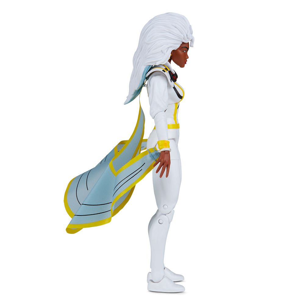 Storm Marvel Legends Series Action Figure – X-Men Animated Series