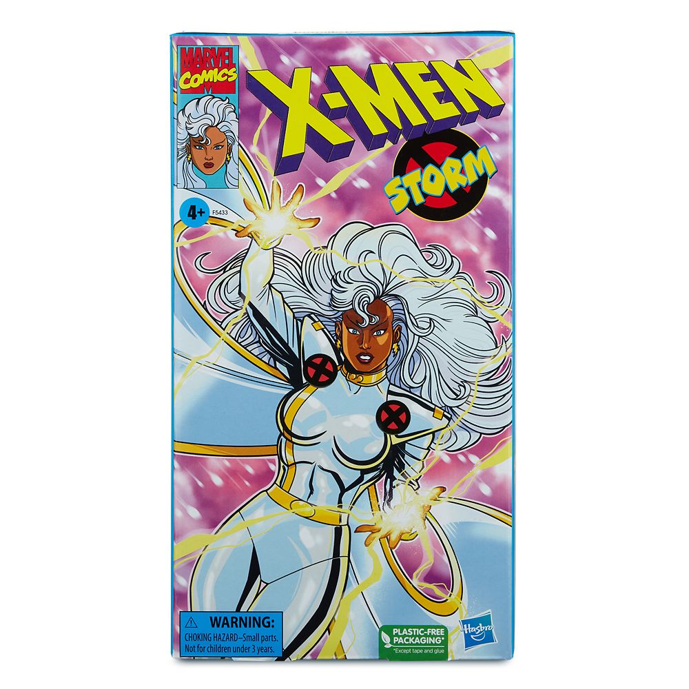 Storm Marvel Legends Series Action Figure – X-Men Animated Series