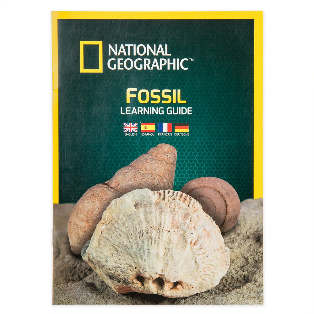 Ultimate Fossil Sand Play Set – National Geographic