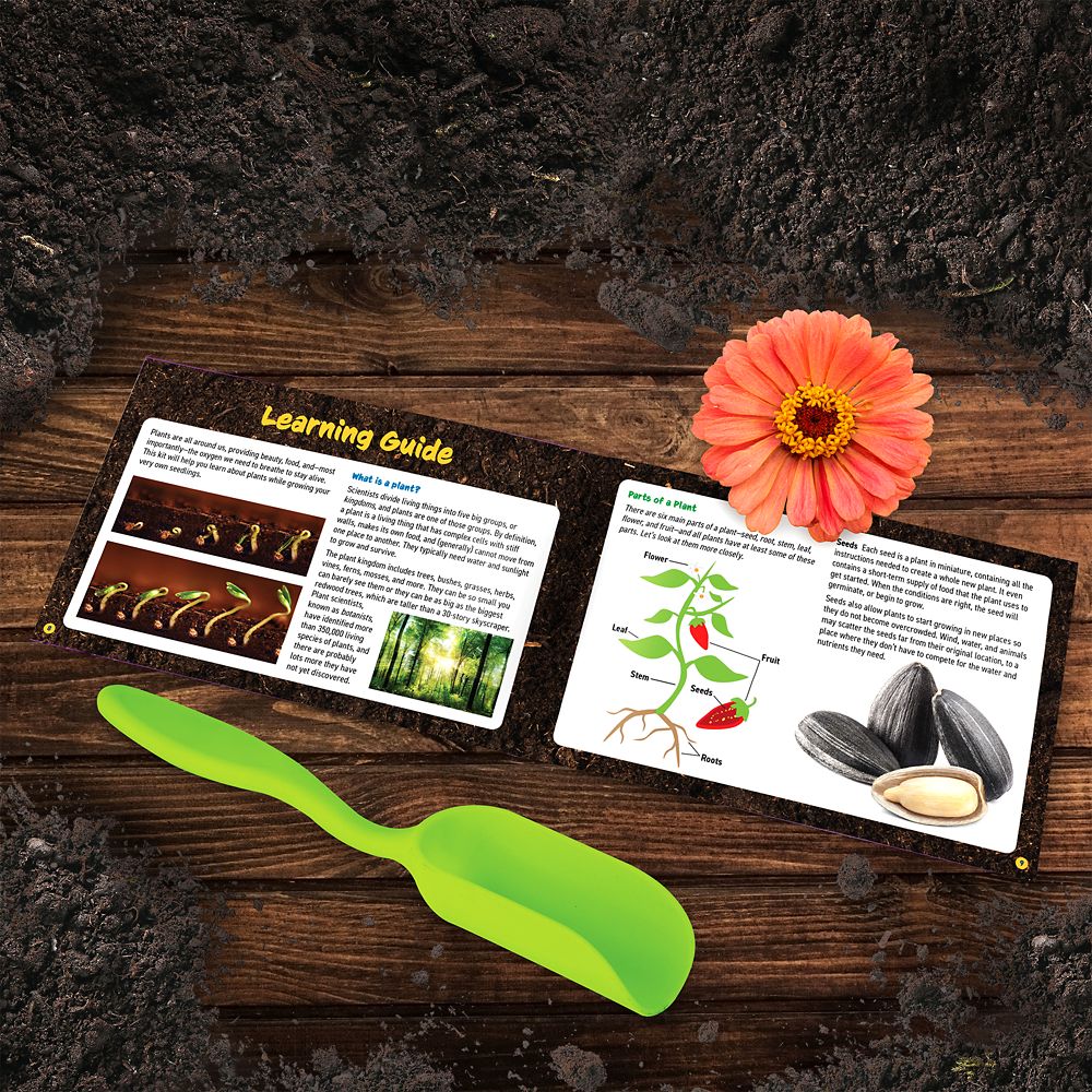 National Geographic Flower Garden Growing Kit