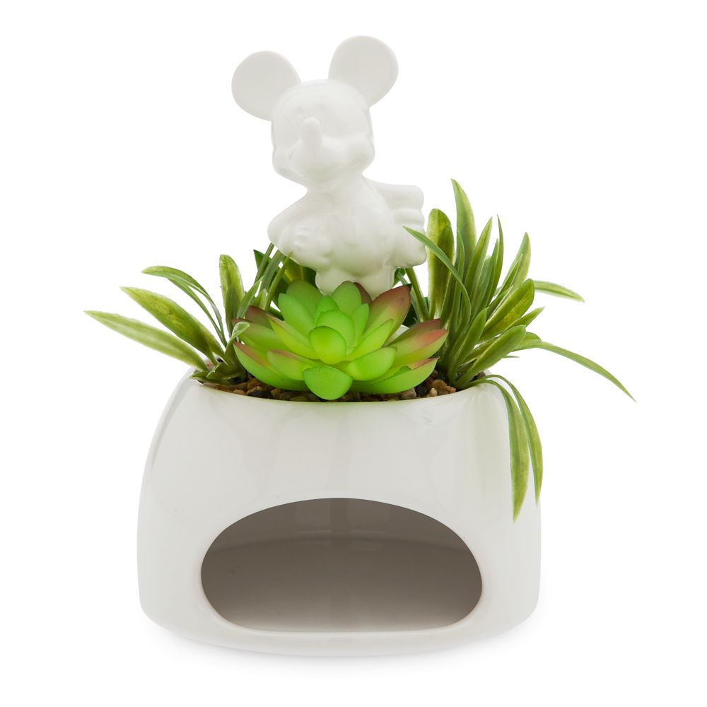 22 Magical Disney Gifts for Mom to Give this Mother's Day: Mickey Mouse Ceramic Pot and Faux Succulent – Disney Eats