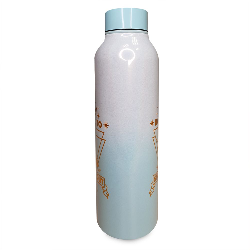 Cinderella Stainless Steel Water Bottle