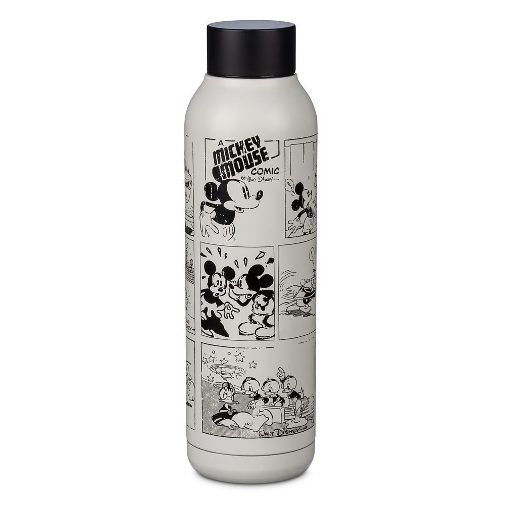 Mickey Mouse and Friends Comic Stainless Steel Water Bottle