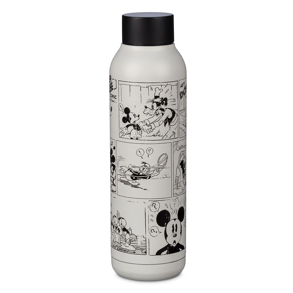 Mickey Mouse and Friends Comic Stainless Steel Water Bottle