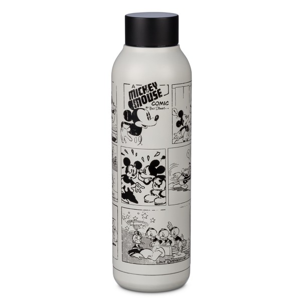 Mickey Mouse and Friends Comic Stainless Steel Water Bottle