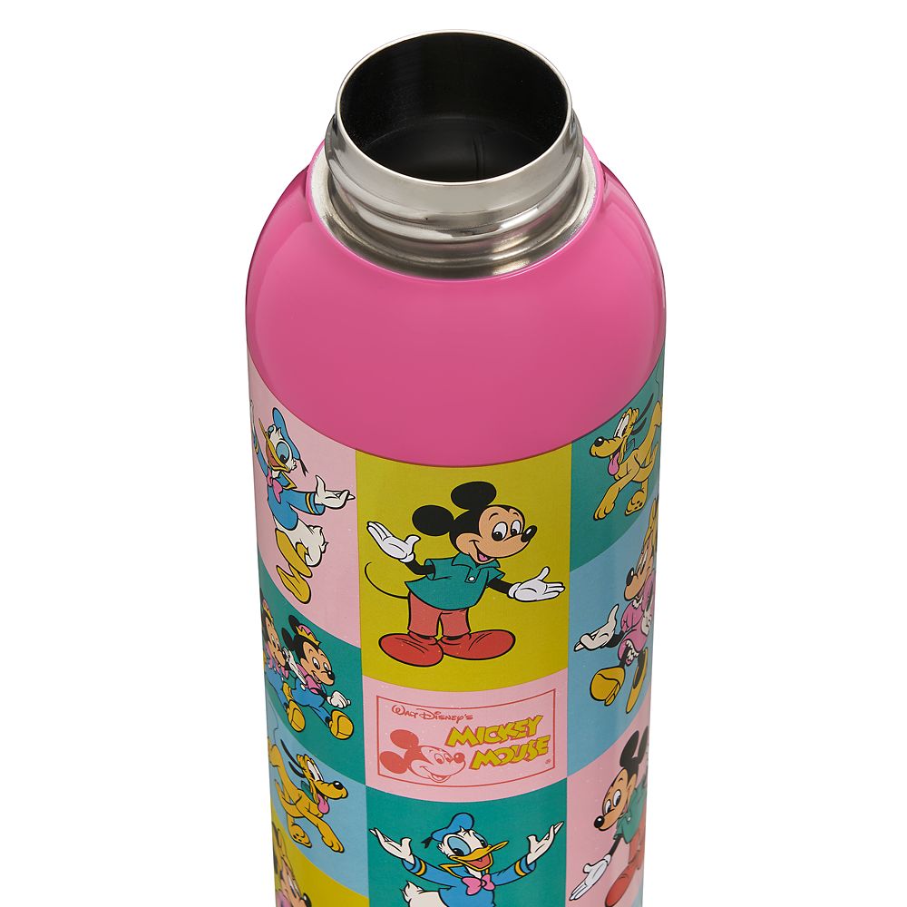 Mickey Mouse and Friends Stainless Steel Water Bottle