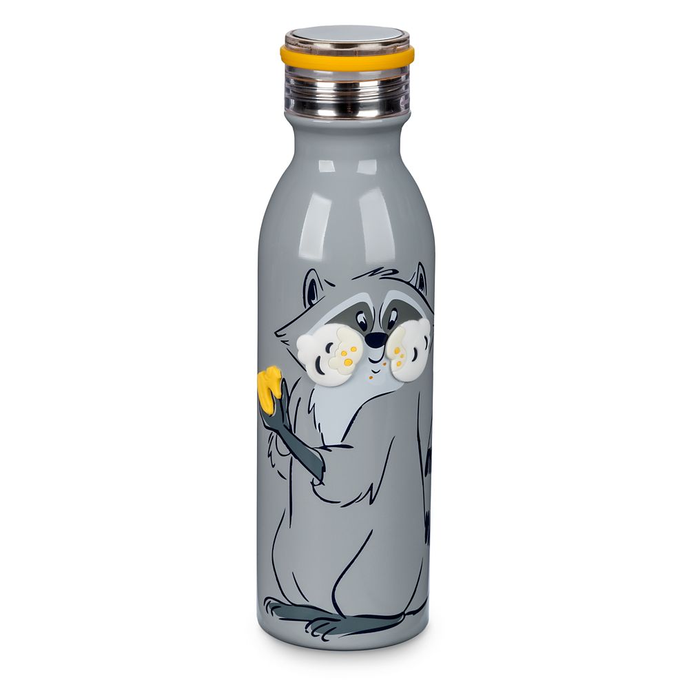 Meeko Stainless Steel Water Bottle – Pocahontas