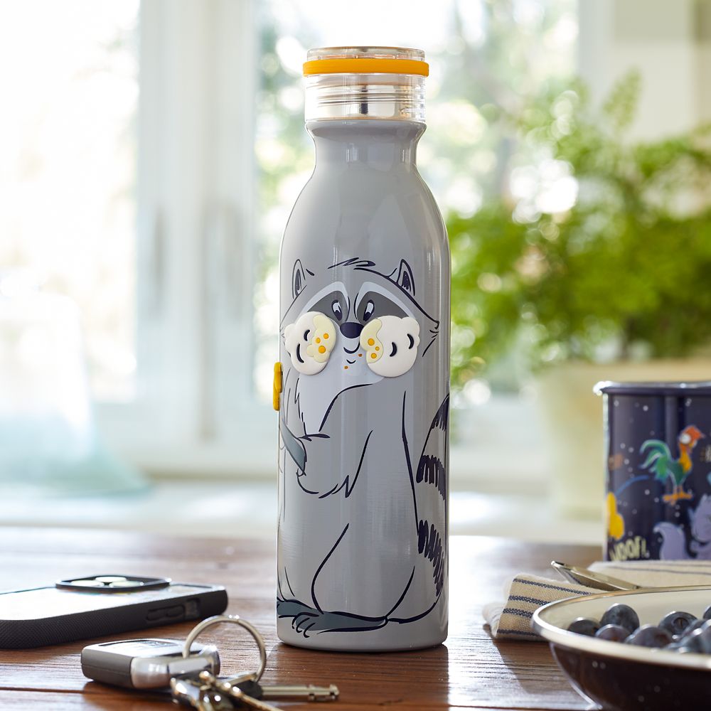 Meeko Stainless Steel Water Bottle – Pocahontas