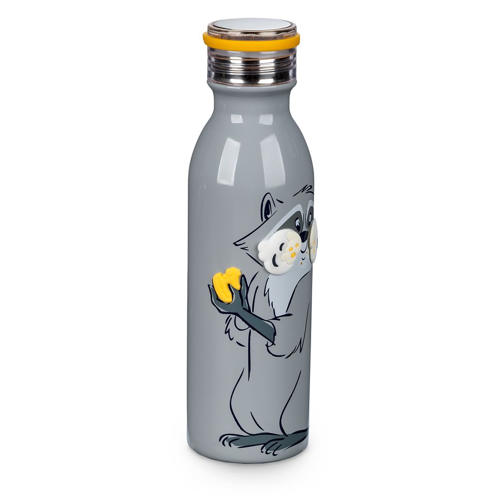 Meeko Stainless Steel Water Bottle – Pocahontas