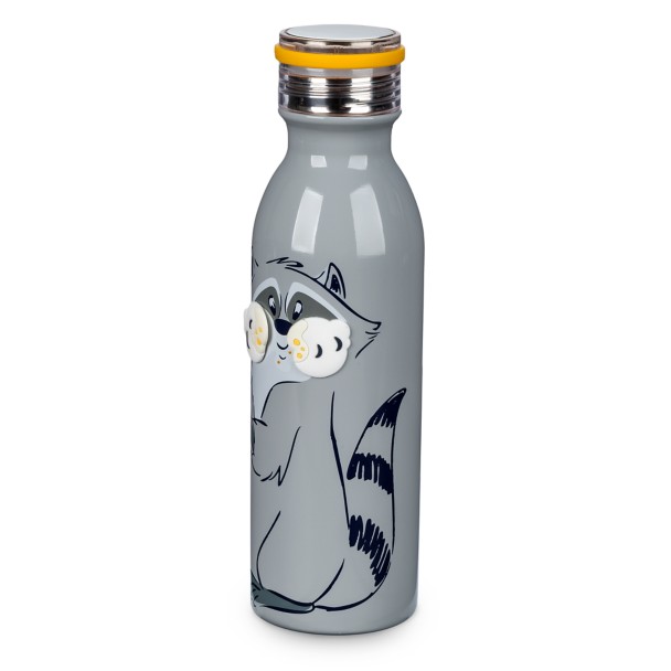 Meeko Stainless Steel Water Bottle – Pocahontas