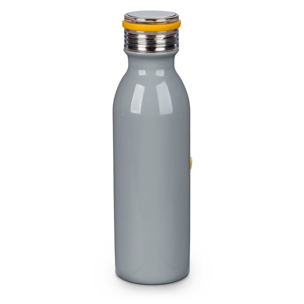 Meeko Stainless Steel Water Bottle – Pocahontas