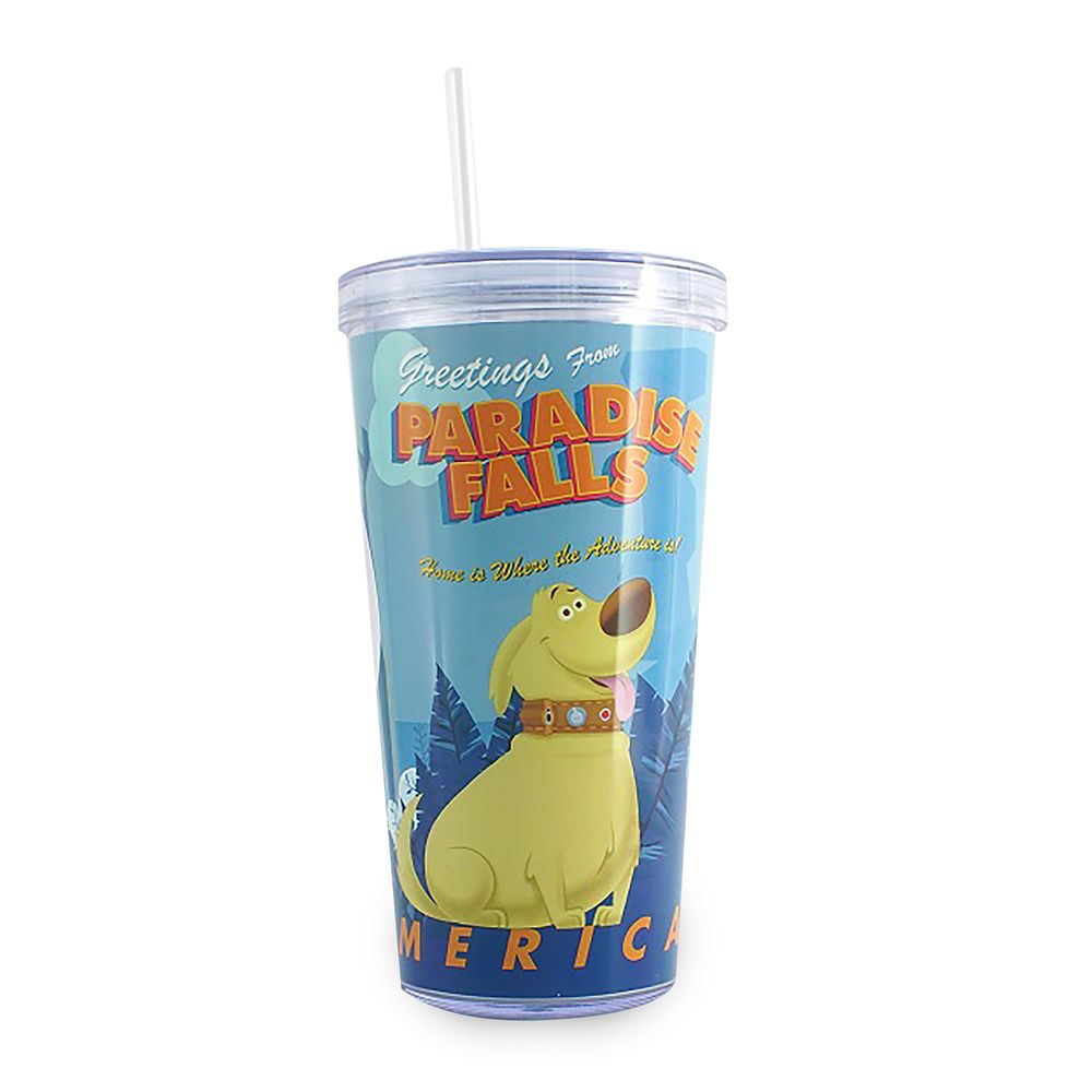 Up Tumbler with Straw