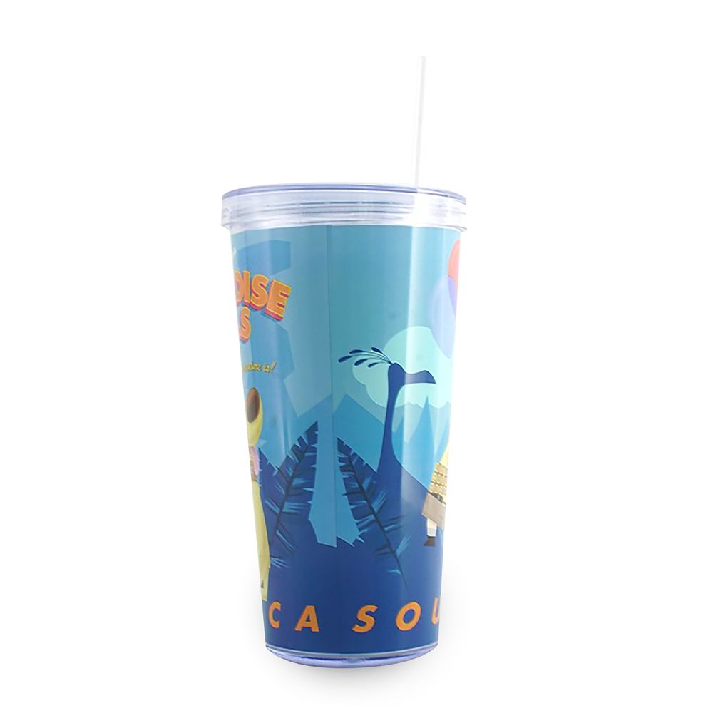 Up Tumbler with Straw