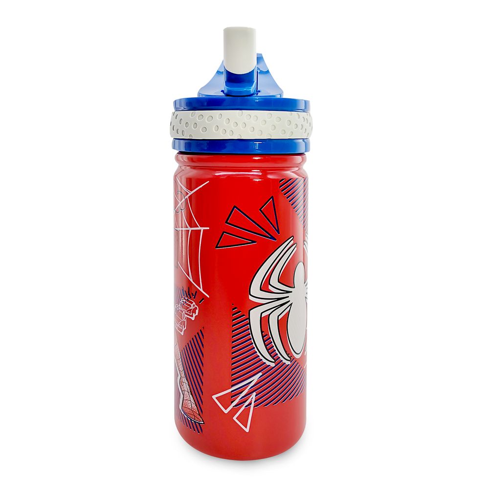 Spider-Man Stainless Steel Water Bottle with Built-In Straw