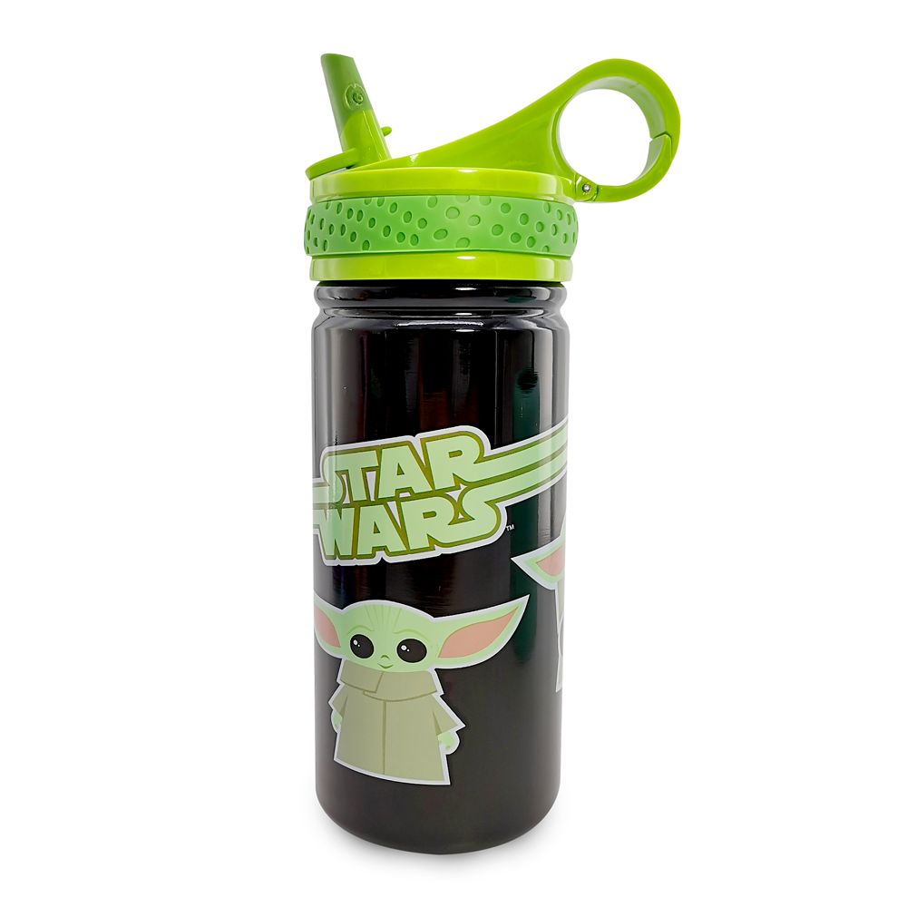 Star Wars: The Mandalorian Stainless Steel Water Bottle with Built-In Straw