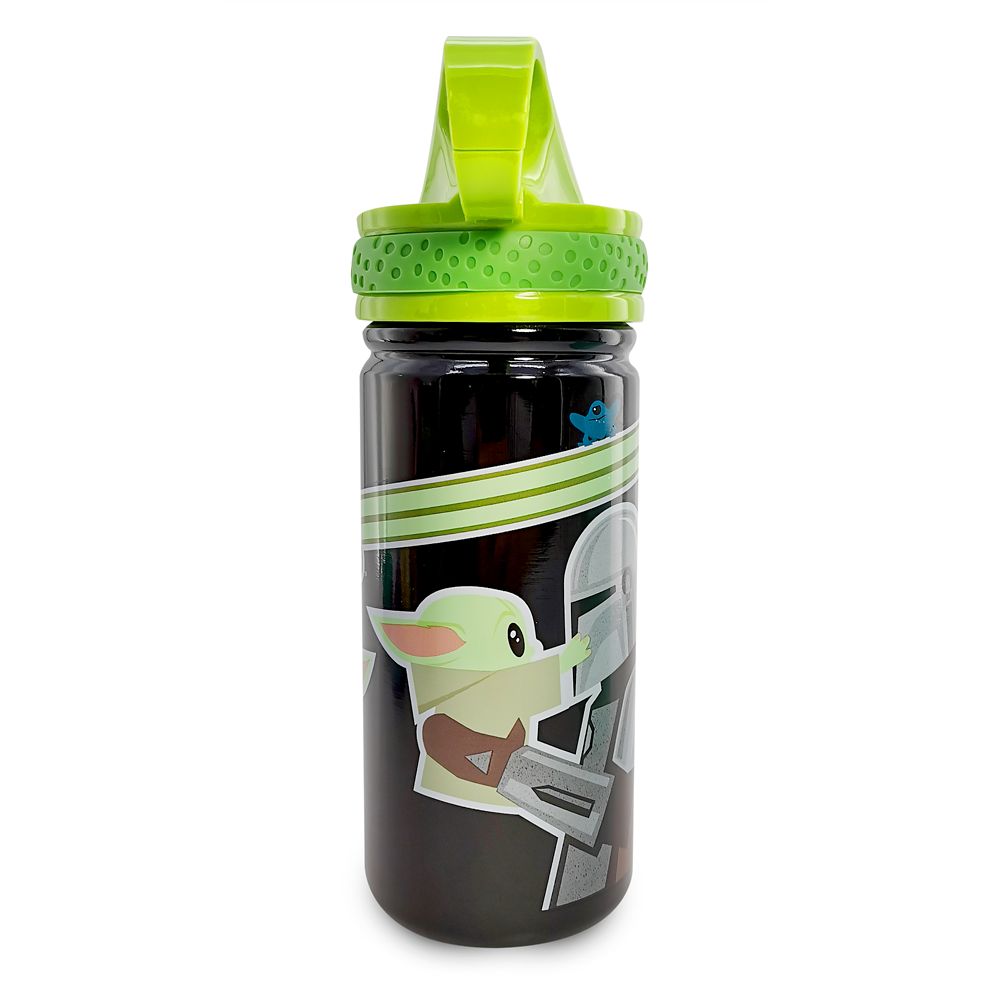 Star Wars: The Mandalorian Stainless Steel Water Bottle with Built-In Straw