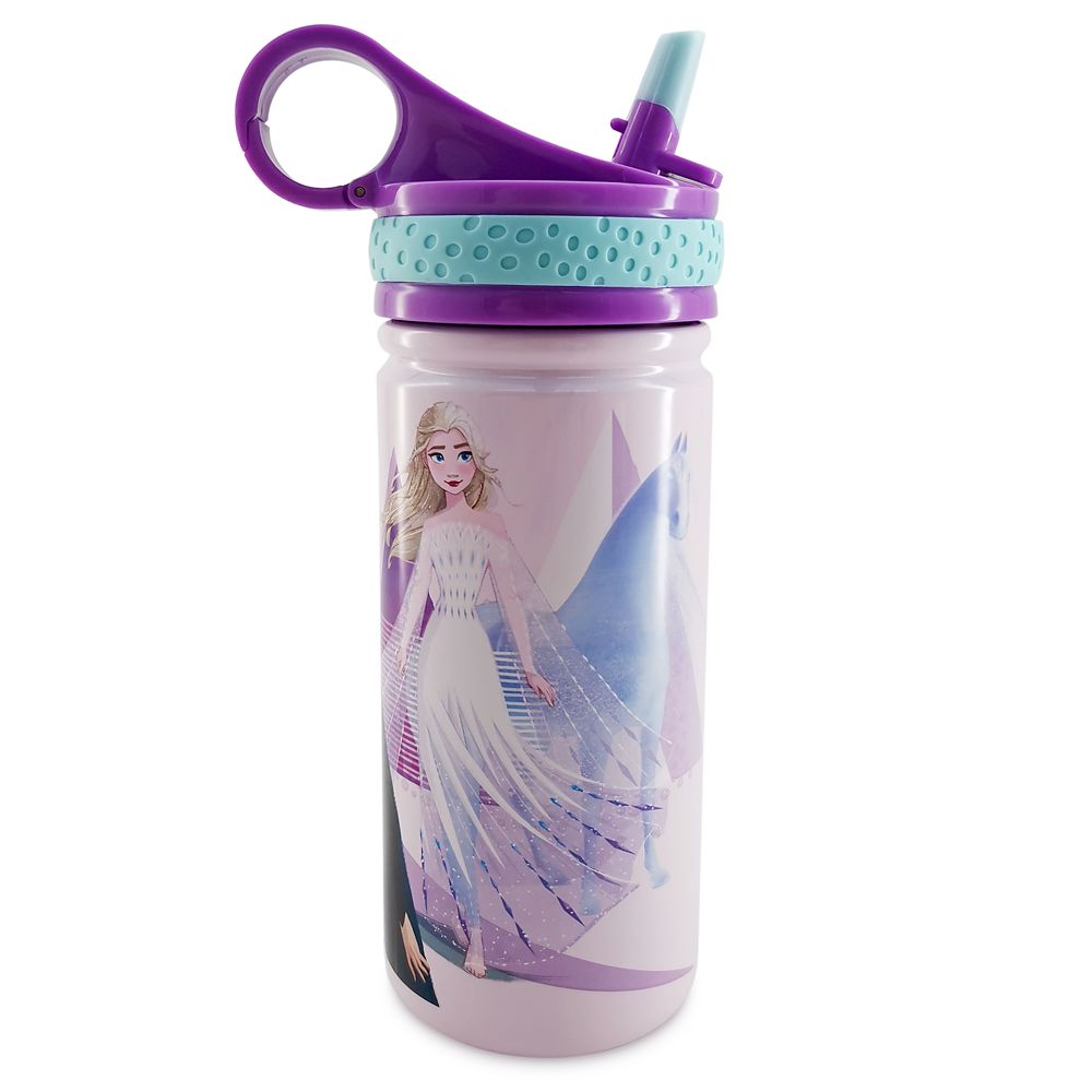 Frozen 2 Stainless Steel Water Bottle with Built-In Straw