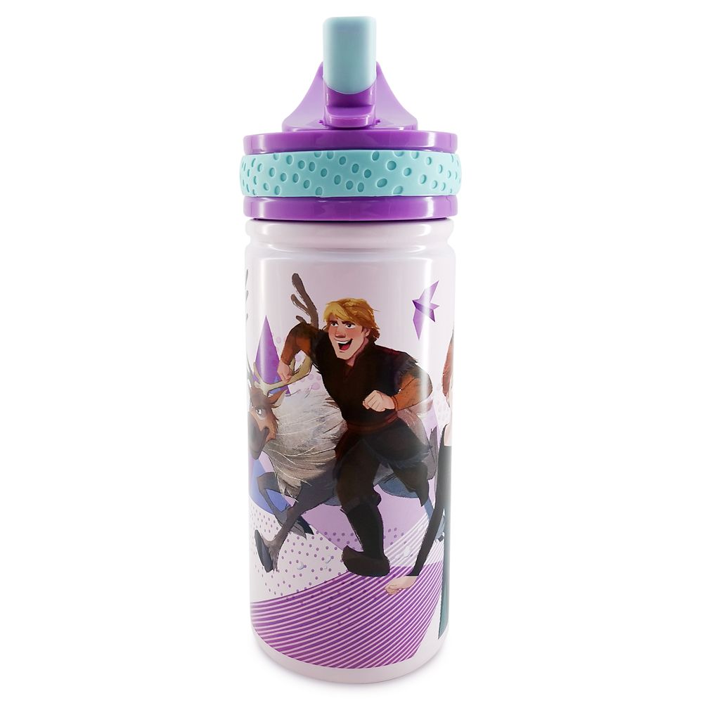 Frozen 2 Stainless Steel Water Bottle with Built-In Straw