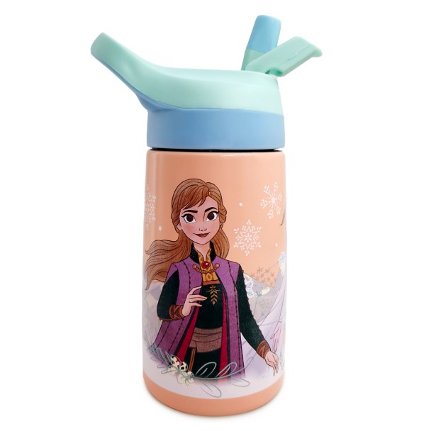 Frozen Stainless Steel Water Bottle with Built-In Straw