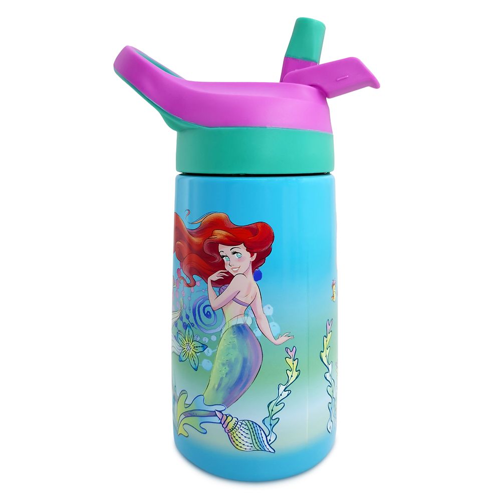 Ariel Stainless Steel Water Bottle with Built-In Straw