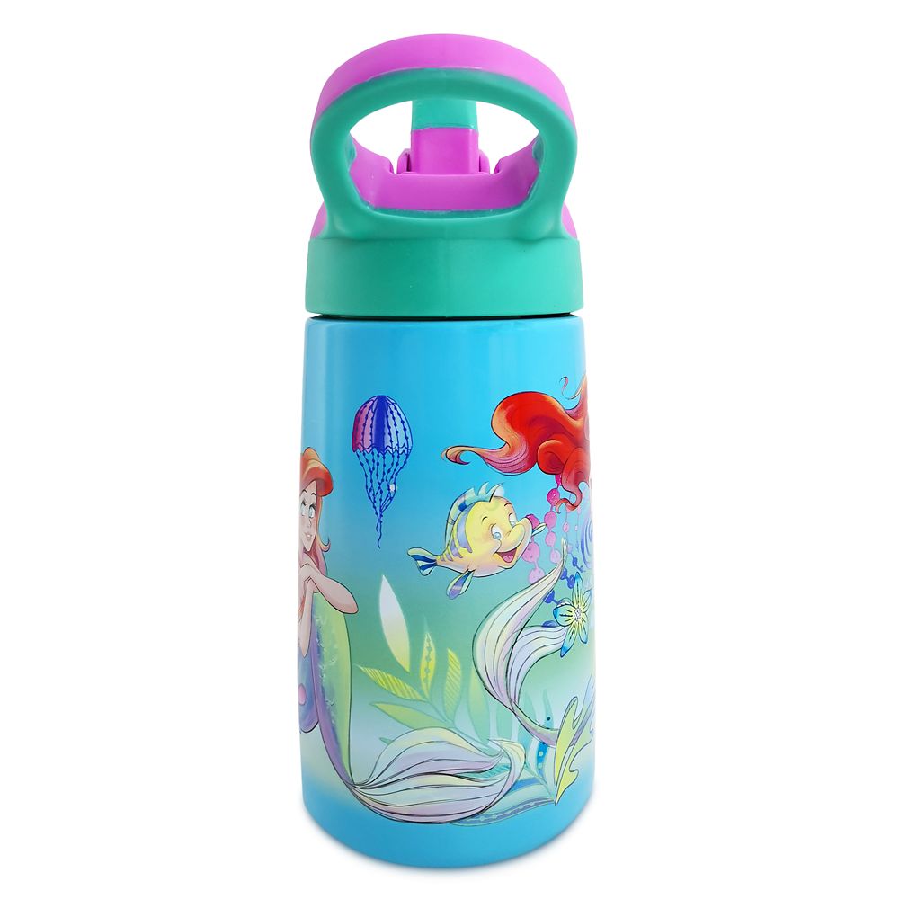 Ariel Stainless Steel Water Bottle with Built-In Straw